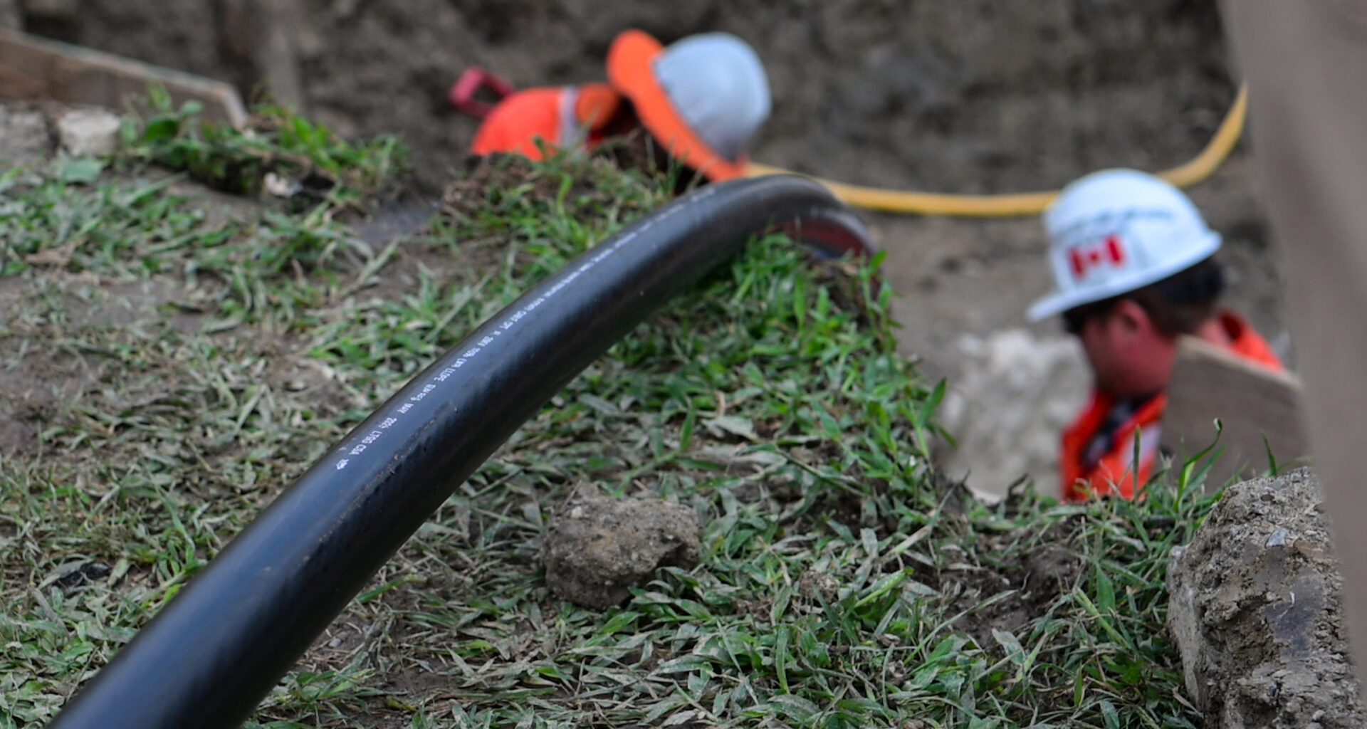 39 -Screenshot 2024-08-21 at 1.00.24 PM