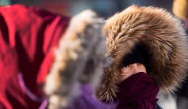 Strong winds gusting up to 80 km/h