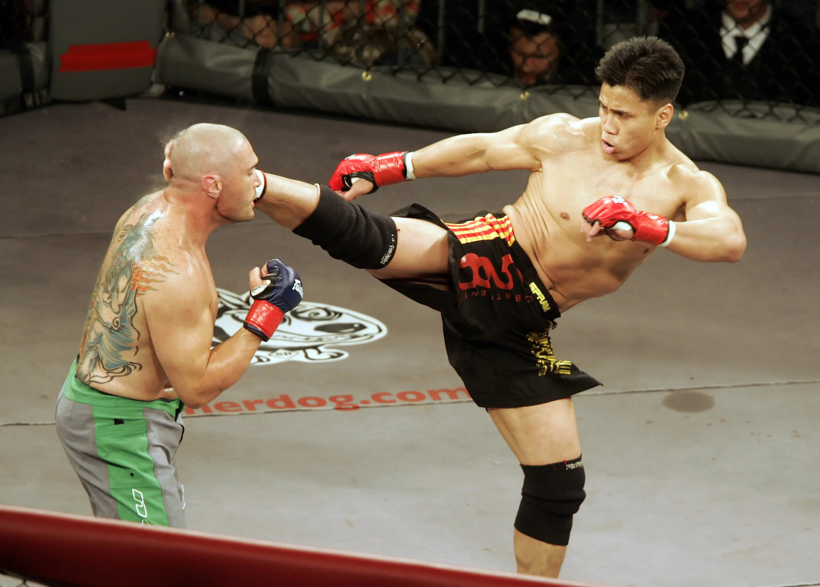 In his MMA debut, Cung Le (right) knocks out Mike Altman with a first-round kick during the 