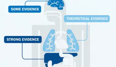 What Ozempic and other GLP-1 weight loss drugs do the body