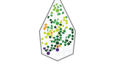 Avicanna Announces Sponsorship of University of Calgary THC Dose Finding Clinical Trial