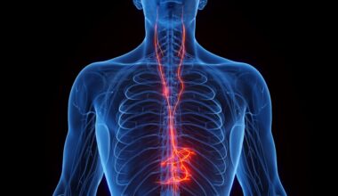 Vagus nerve stimulation shows promise as a way to counter Alzheimer’s disease- and age-related memory loss