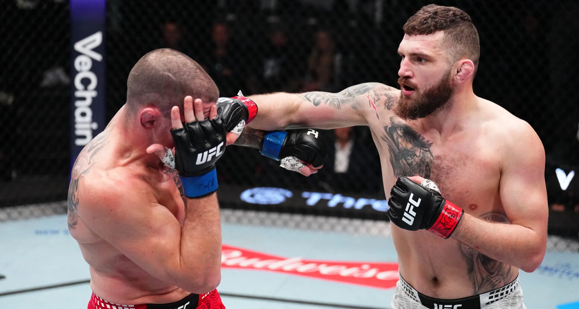 Fight of the Month for February 2026: Middleweights throw down