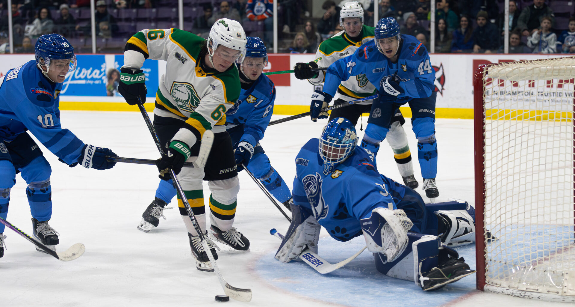 PHOTOS: London Knights vs. Brampton Steelheads – 02/28/2026