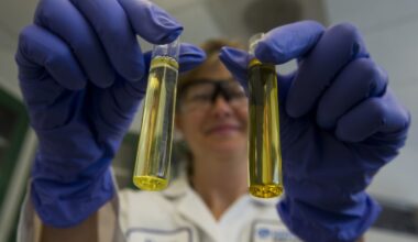 Brain supplements have become a social media wellness trend - but are they safe to take?