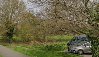 Person sexually assaulted while out walking dog in Surrey park