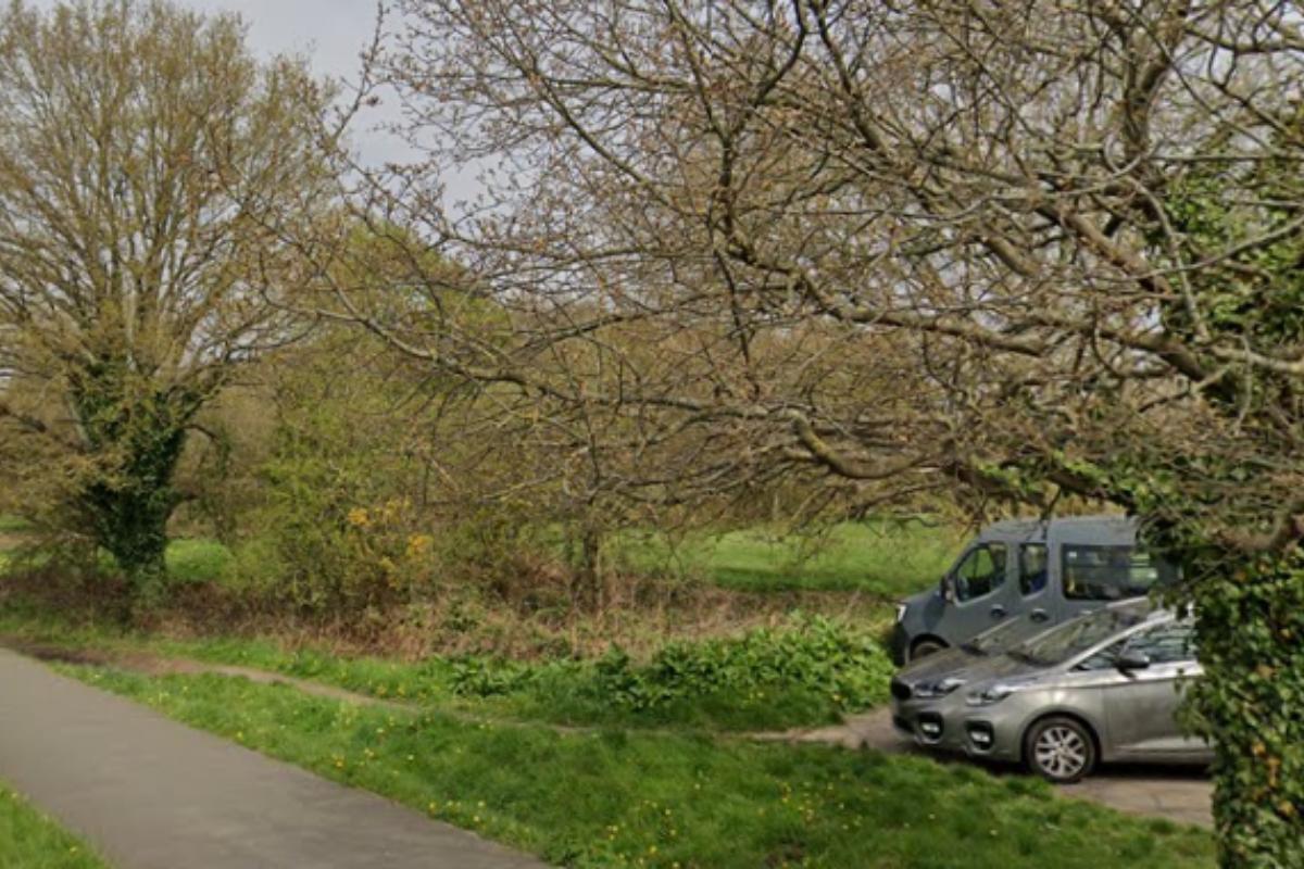 Person sexually assaulted while out walking dog in Surrey park