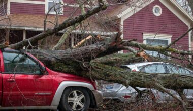 Tornadoes across central United States kill at least eight people | Weather News