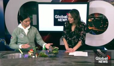 Local plant designer featured at this spring’s Edmonton Home and Garden Show