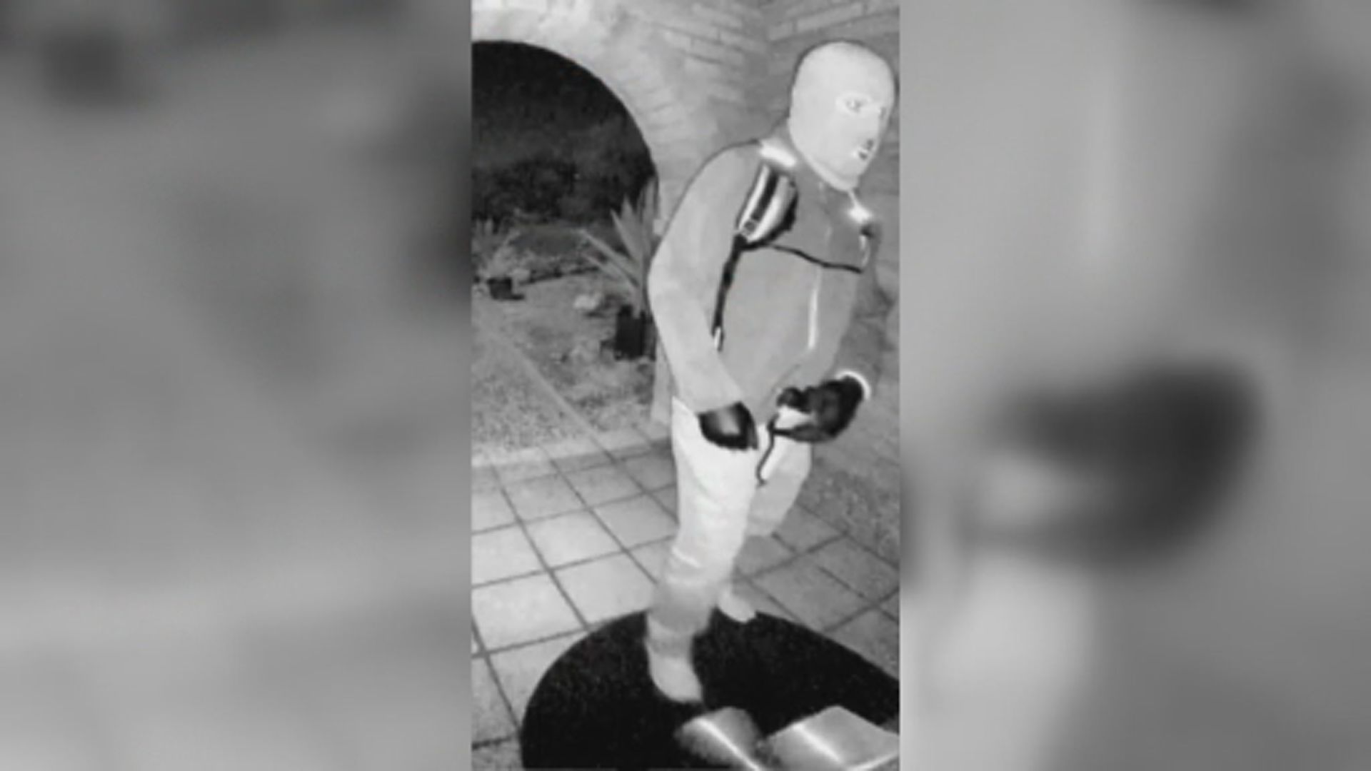 Click to play video: 'Nancy Guthrie kidnapping: FBI releases surveillance photos of potential subject in investigation'