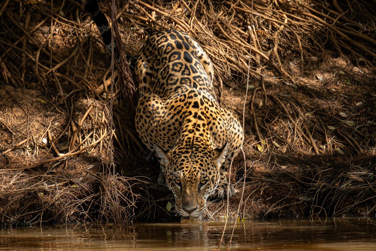 Photo by Adam Moore