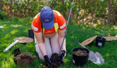 Spring maintenance begins in Mississauga – City of Mississauga