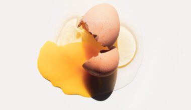 19 Foods With More Protein Than Eggs