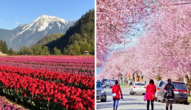 things to do in metro vancouver