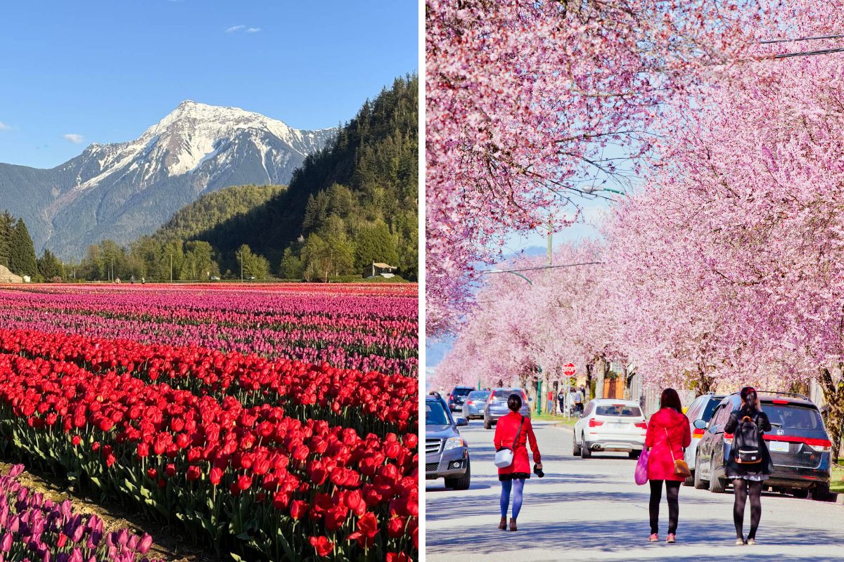 things to do in metro vancouver