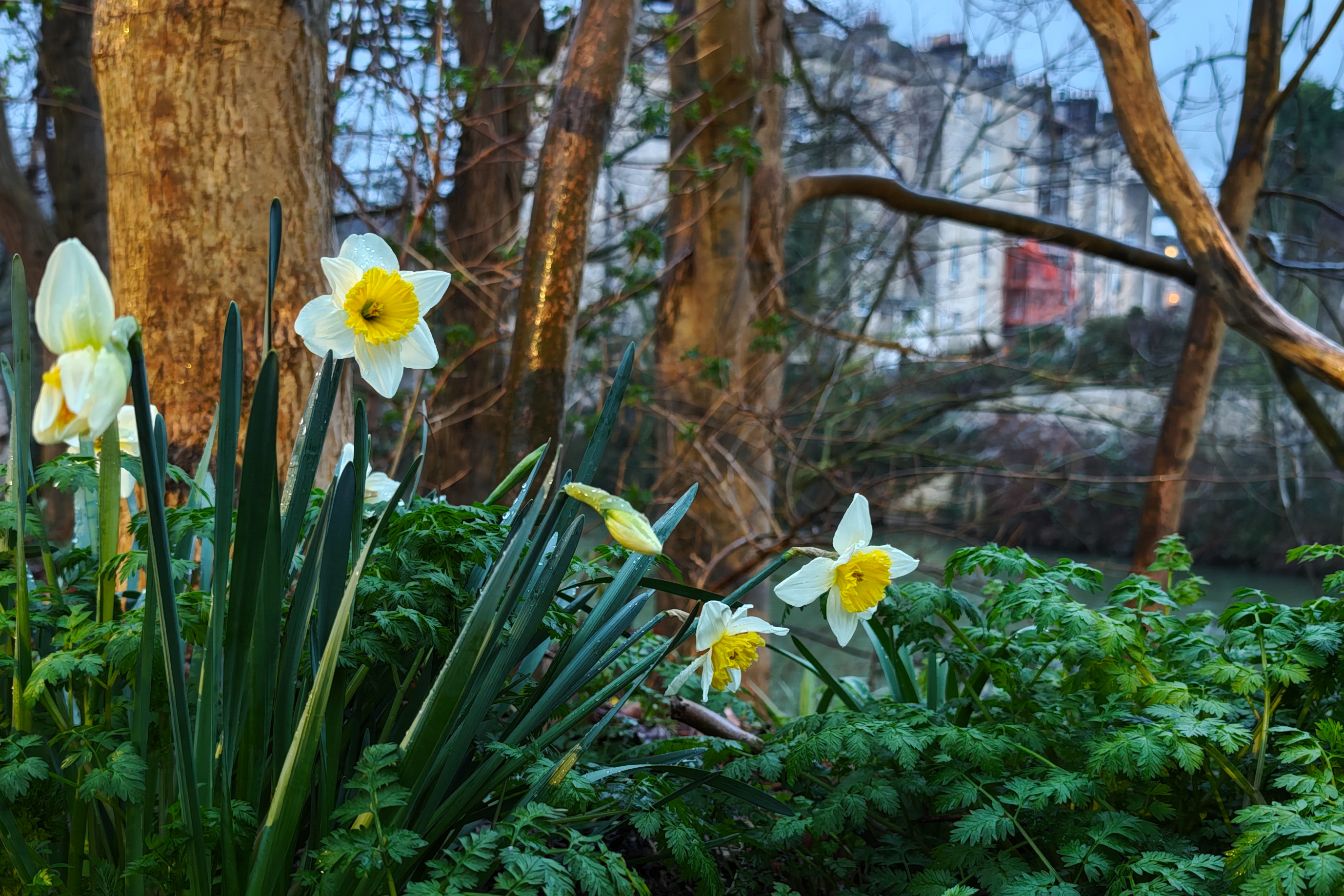 Leica Leitzphone vs Google Pixel 10 Pro XL comparison