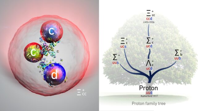 On the left: A pale colored sphere with glowing red edges. Three smaller spheres are pictured within it, containing the lowercase letters c,c, and d. On the right: A faded looking proton family tree with labels 
