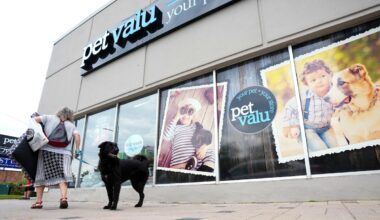 Wednesday’s analyst upgrades and downgrades