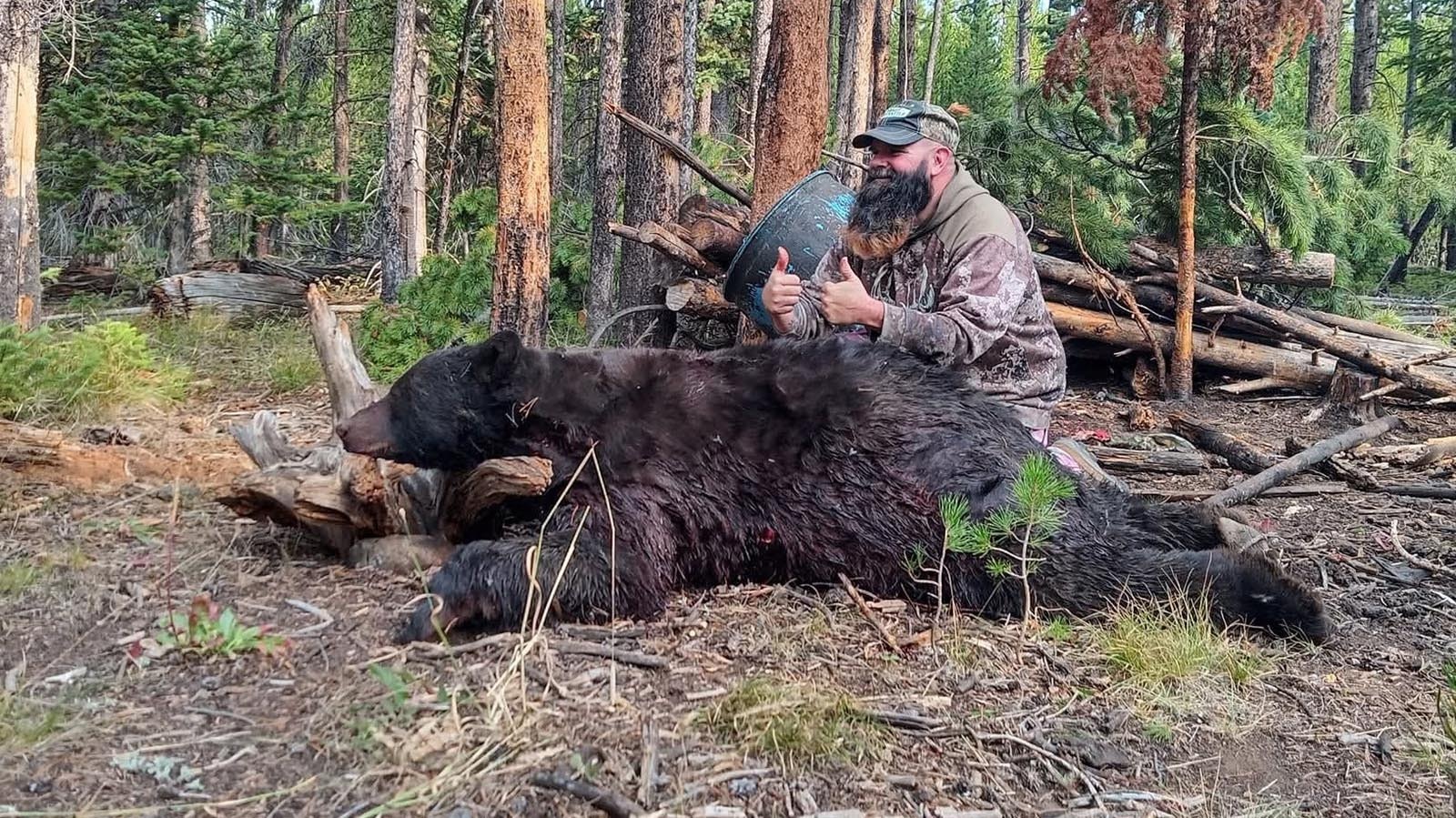 Spring black bear hunting is popular in Wyoming.