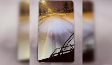 VIDEO: Bus driver removed from service amid investigation into social media posts behind the wheel