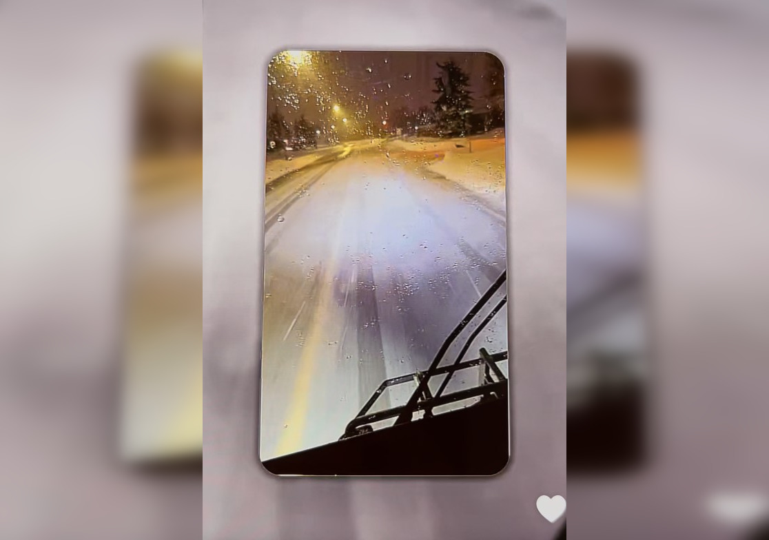 VIDEO: Bus driver removed from service amid investigation into social media posts behind the wheel