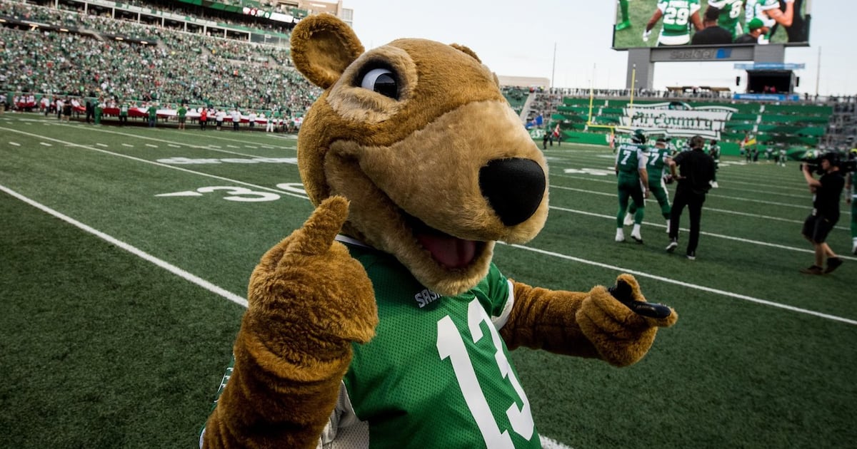 Saskatchewan Roughriders seek someone who is energetic, keen to dress like rodent