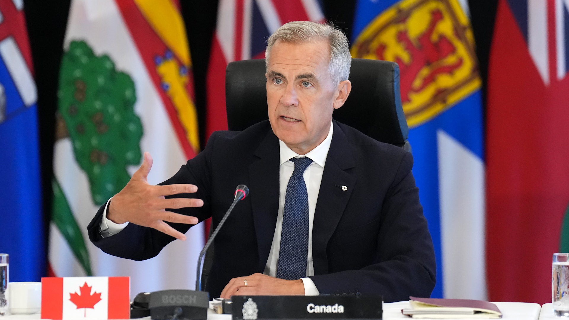 Click to play video: 'Carney to add LNG, hydro, nickel projects to fast-track list'