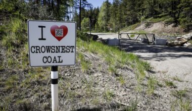 Why the world needs even more Canadian coal