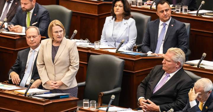Ontario to boost home care funding, may miss long-term care bed goal