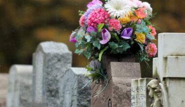 Potential light show at Canada’s largest cemetery causes controversy - Montreal