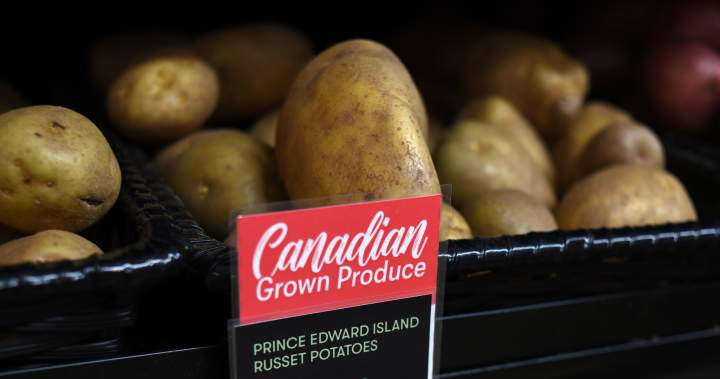 Canada barely sells fresh potatoes to Mexico. That’s about to change - National