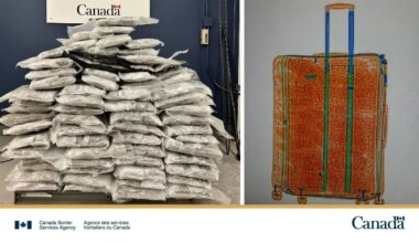 huge seizures of cannabis at toronto pearson airport mississauga.