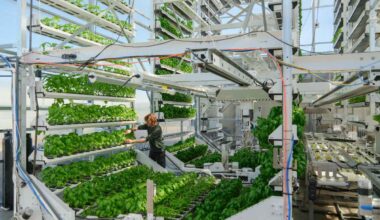 Image of a Canopii farm in operation.