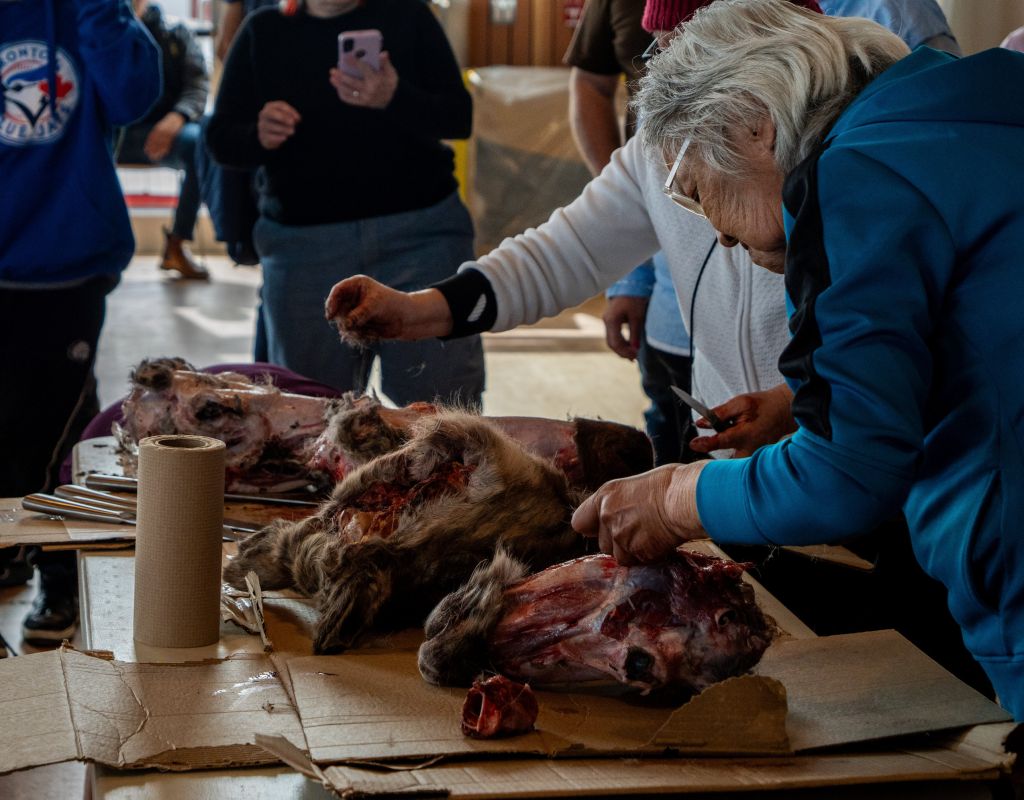 A woman holding a knife hunches over partially skinned caribou heads lying on a table.