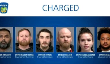 carjackings and car thefts arrests in mississauga, toronto and brampton.