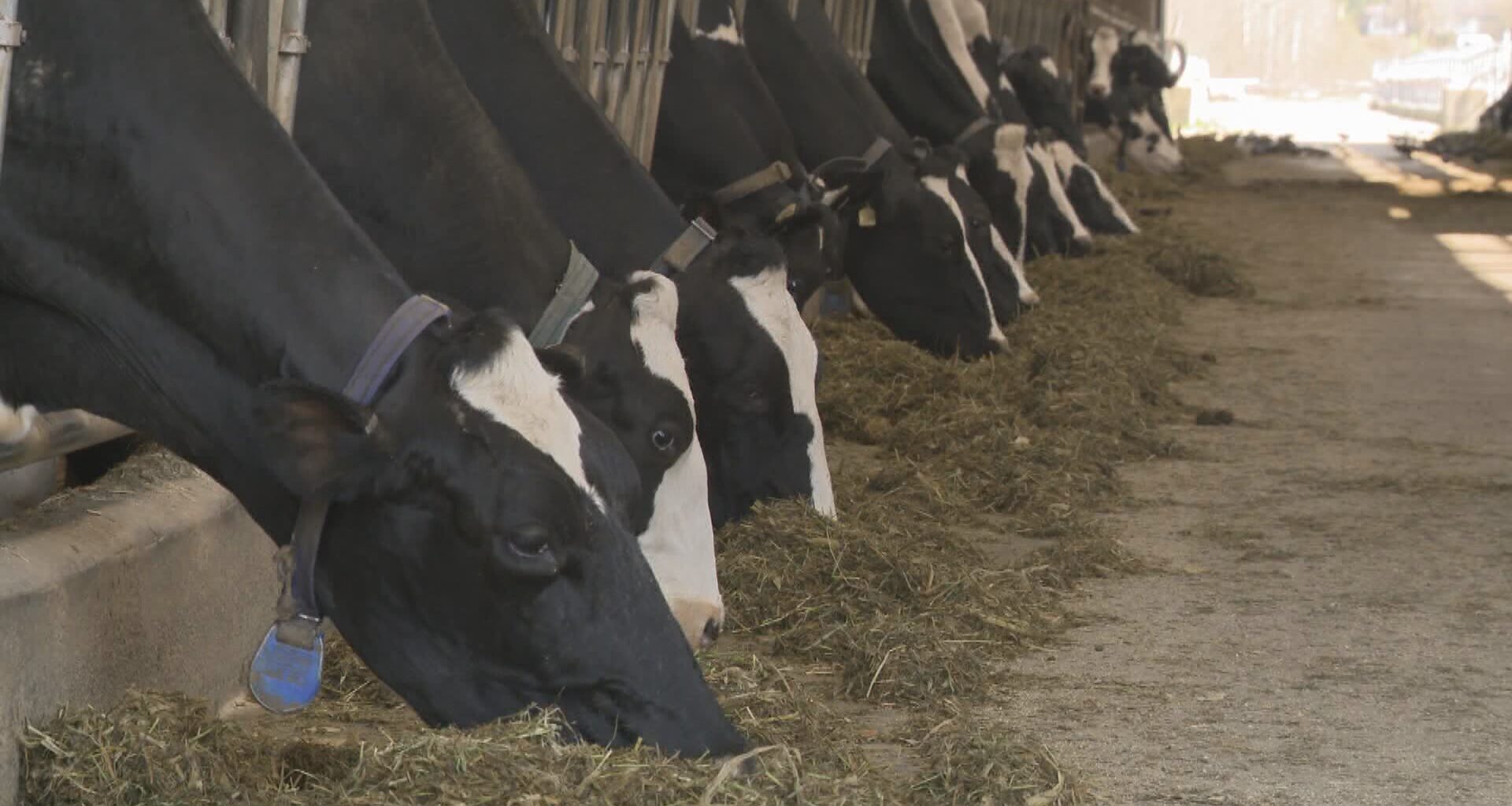 Canadians’ Easter meal to cost more this year as beef prices keep climbing - National