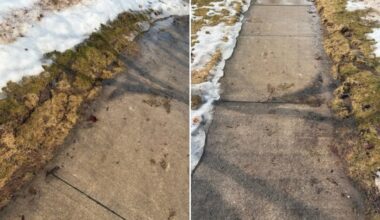 Melted snow brings 'huge' number of complaints about damaged grass in Mississauga