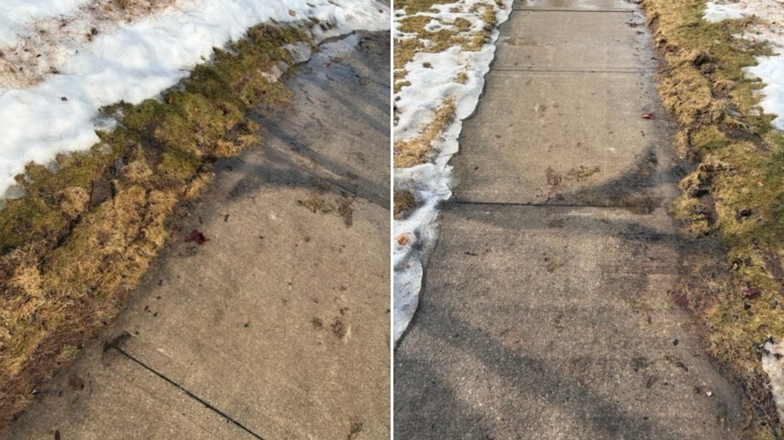 Melted snow brings 'huge' number of complaints about damaged grass in Mississauga