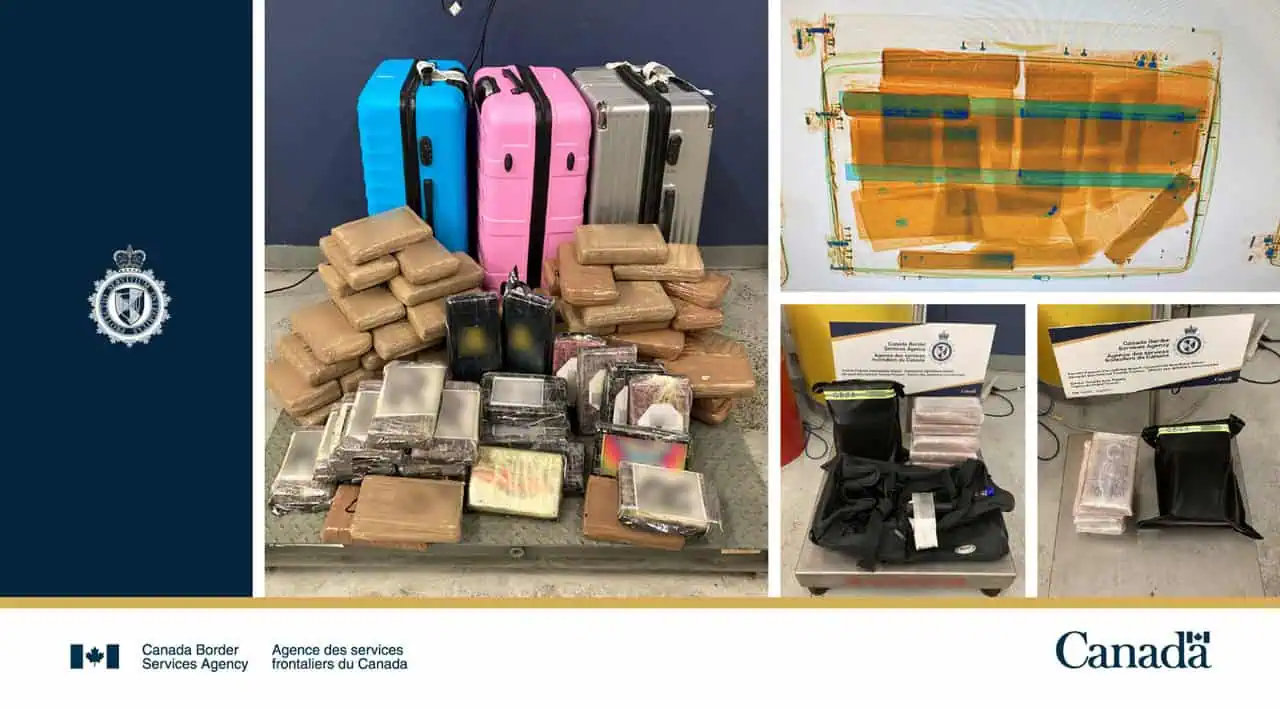100 kilos of cocaine seized at toronto pearson airport mississauga.