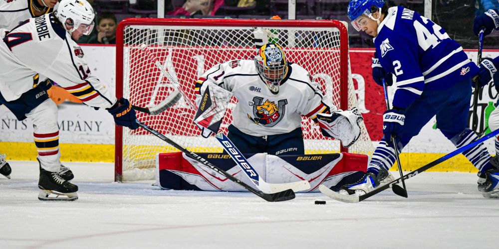 Jaswal’s personal win streak up to 12 after Colts top Brampton 4-2