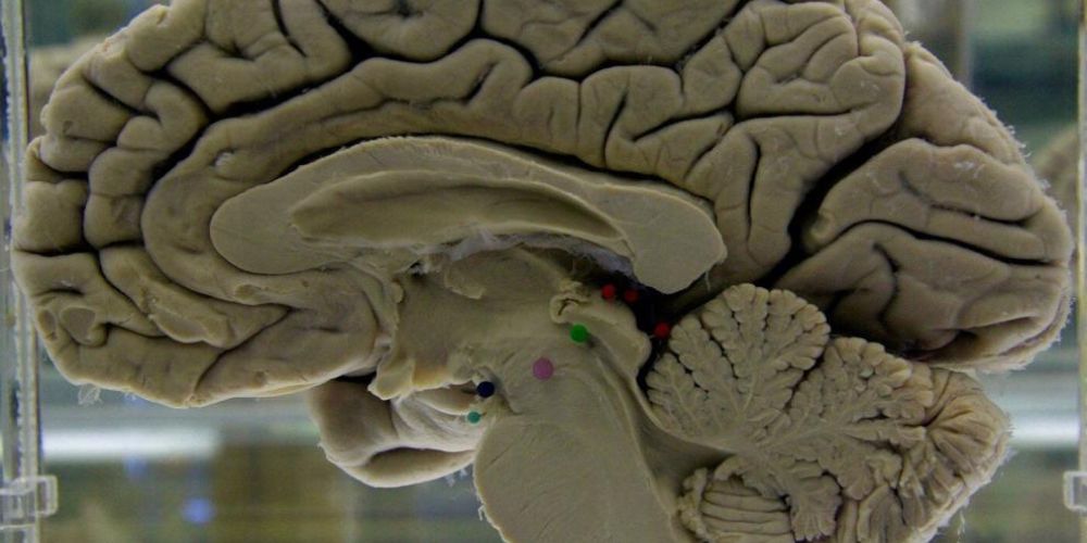 Challenging your brain helps keep it healthy. Here's how to do it