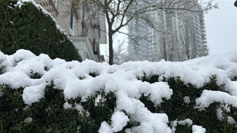 Snowfall is seen in Coquitlam on Tuesday March 10, 2026. (CityNews Image)