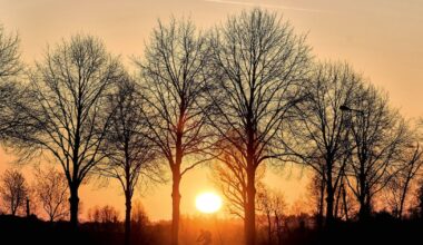 Clock change marks progress for some Canadians, but is a pain for others - CTV News