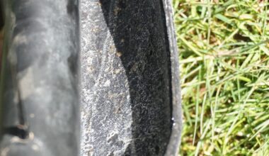 A minimalist spring maintenance guide for lazy riders