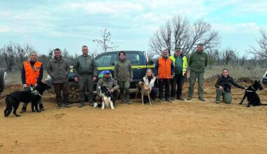 Greek ‘FBI’ joins vulture poisoning investigation