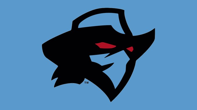 Dallas Renegades