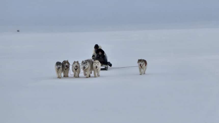 Six dogs pull two people on a sled in the arctic.