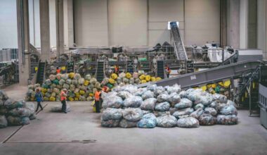 ‘In Romania now, you don’t see a bottle anywhere’