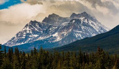 Canada holds first Express Entry draw under new category