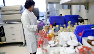 Biotech stocks to watch as drug trials near key data